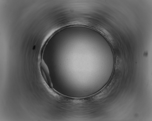 X0000091060796200708201344