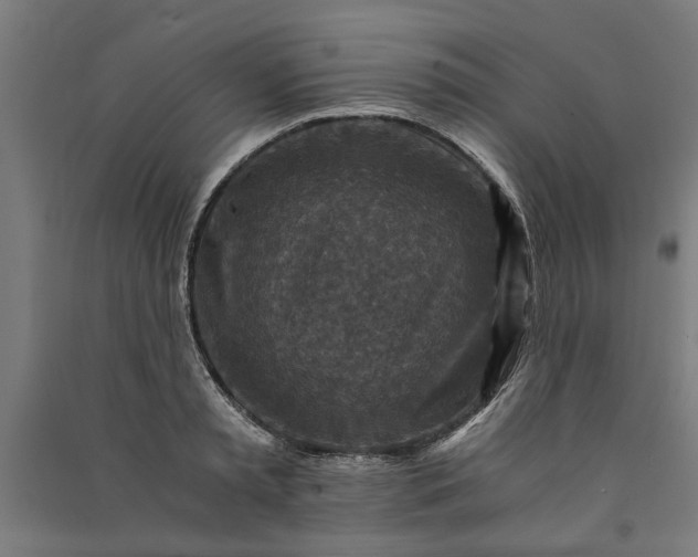 X0000091060797200708201344
