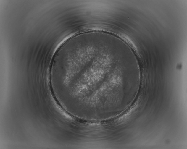 X0000091060798200708201344