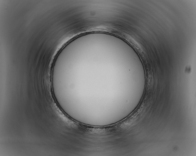 X0000091060800200708201344