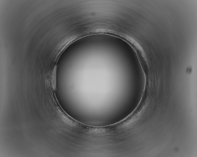 X0000091060801200708201344