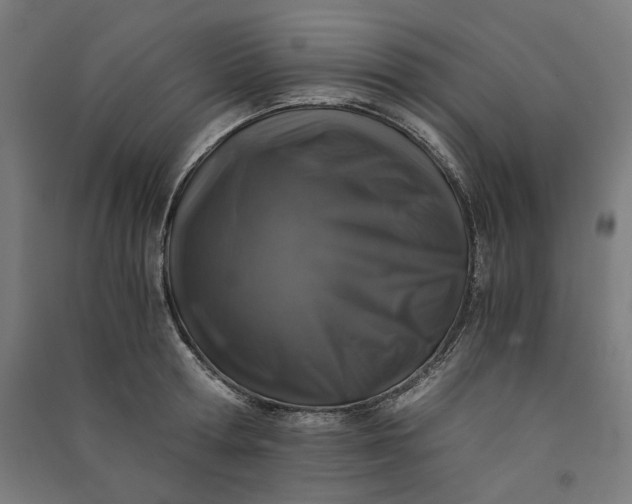 X0000091060802200708201344