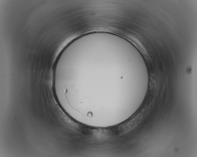 X0000091060804200708201344