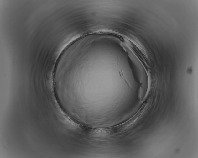 X0000091060806200708201344