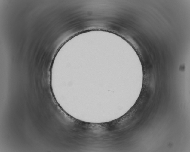 X0000091060807200708201344