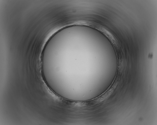 X0000091060808200708201344