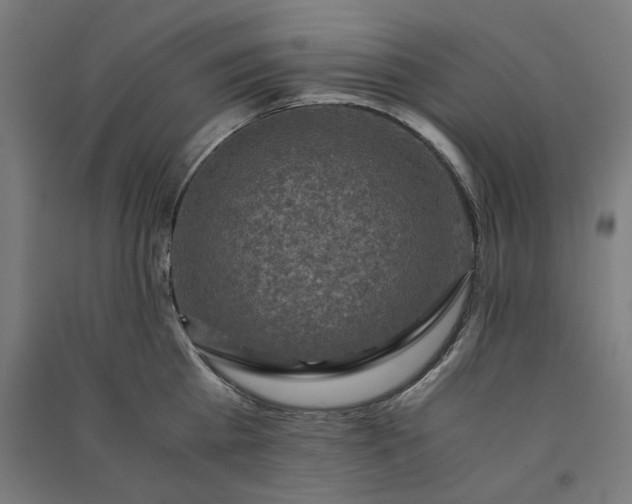 X0000091060809200708201344