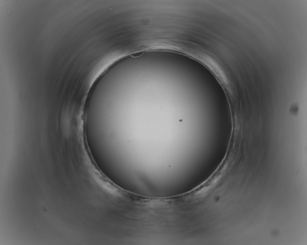 X0000091060814200708201344