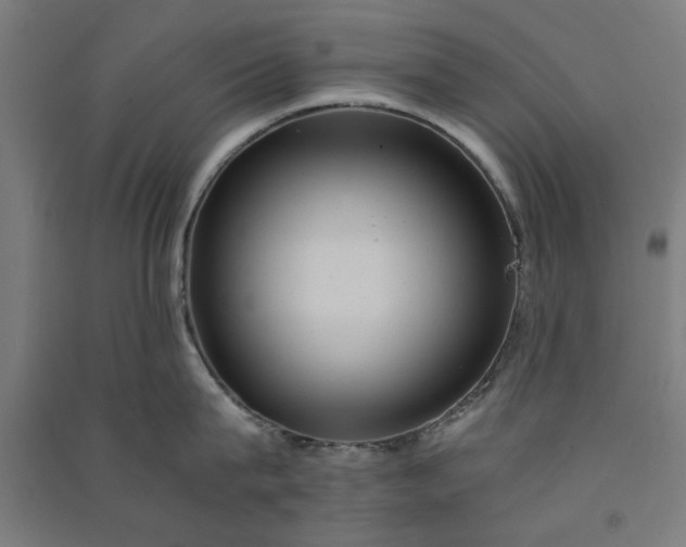 X0000091060815200708201344
