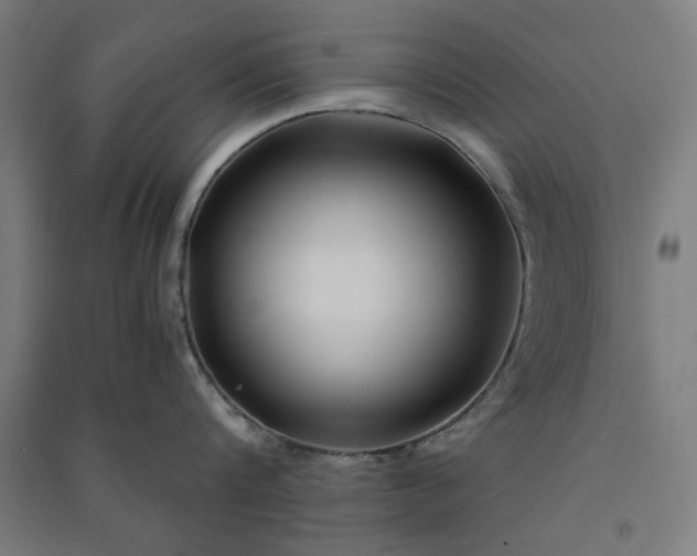X0000091060816200708201344