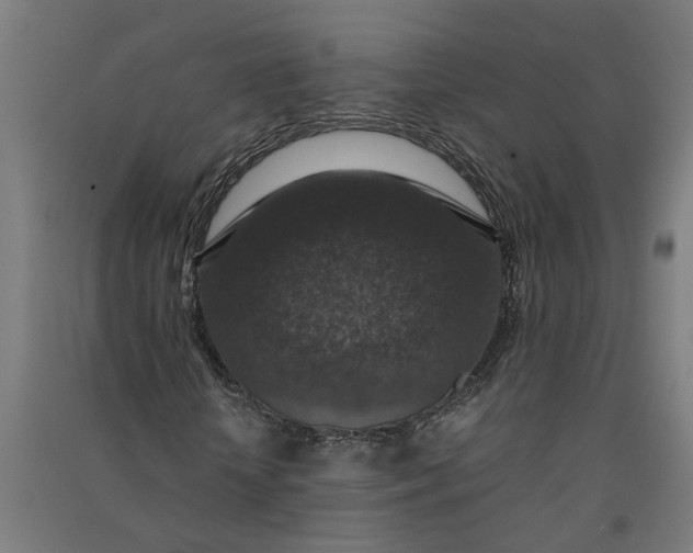 X0000091060818200708201343