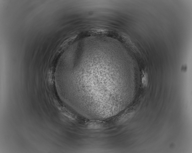 X0000091060819200708201343