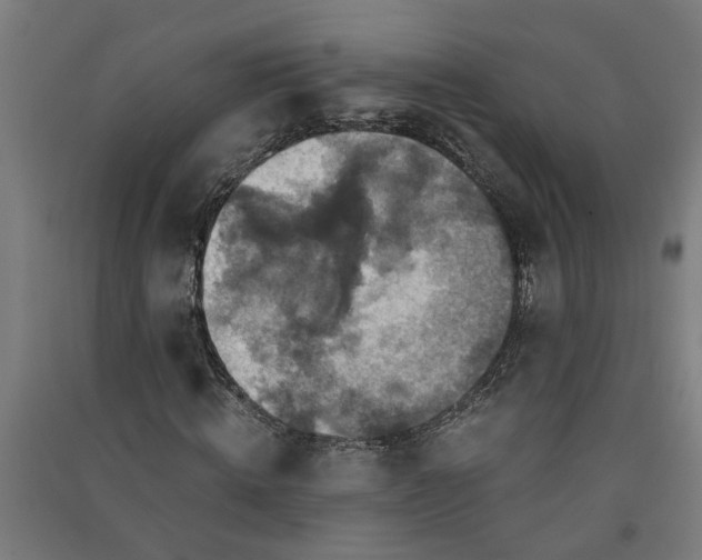 X0000091060820200708201343