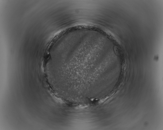 X0000091060822200708201343