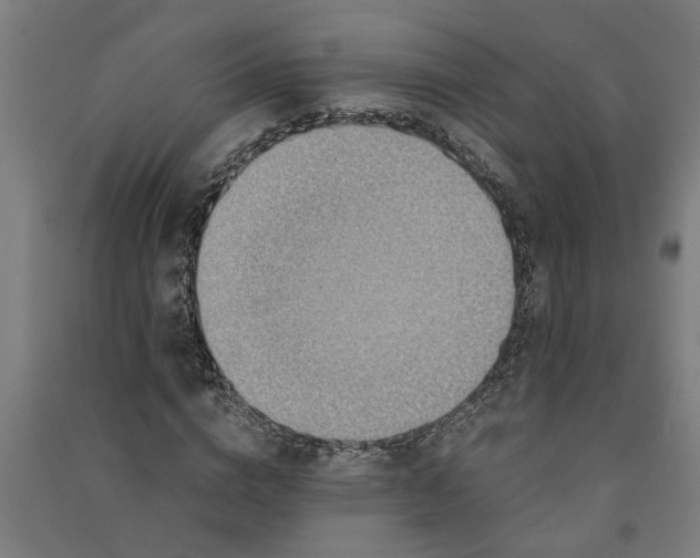 X0000091060824200708201343