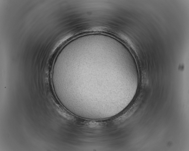 X0000091060827200708201343