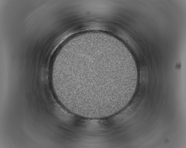 X0000091060828200708201343