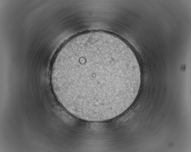 X0000091060832200708201343