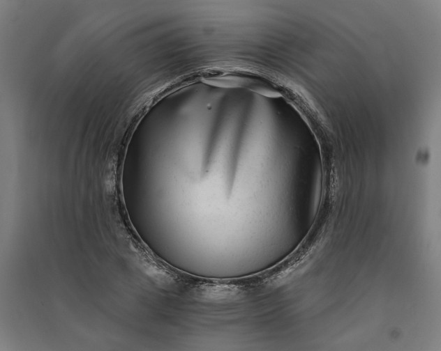 X0000091060833200708201343