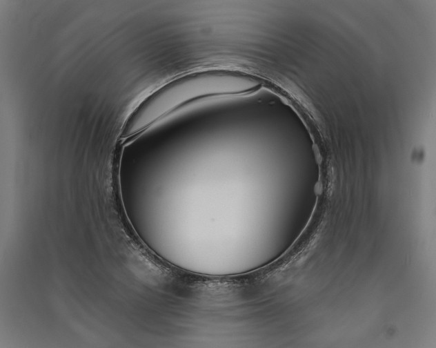 X0000091060834200708201343