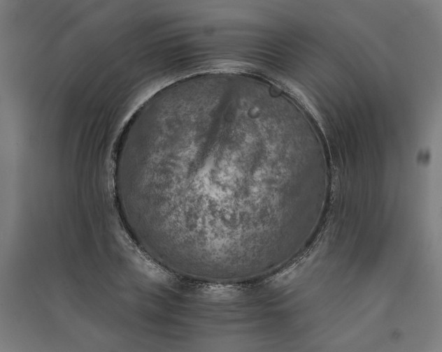 X0000091060835200708201343