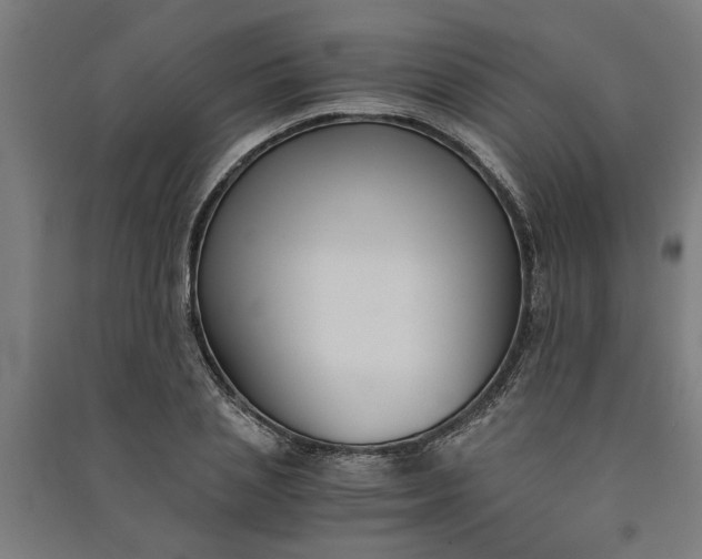 X0000091060837200708201343