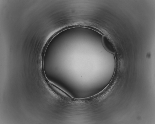 X0000091060838200708201343