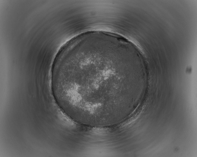 X0000091060840200708201343