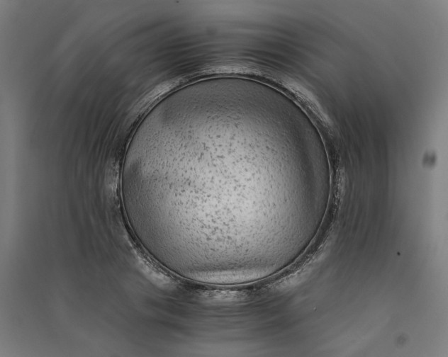 X0000091060841200708201343