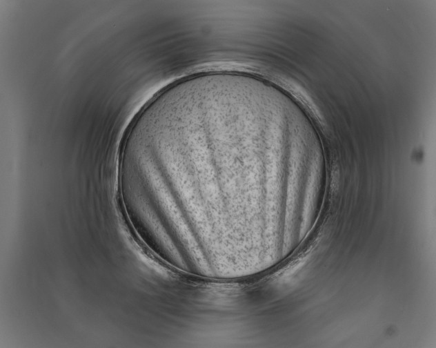 X0000091060844200708201343