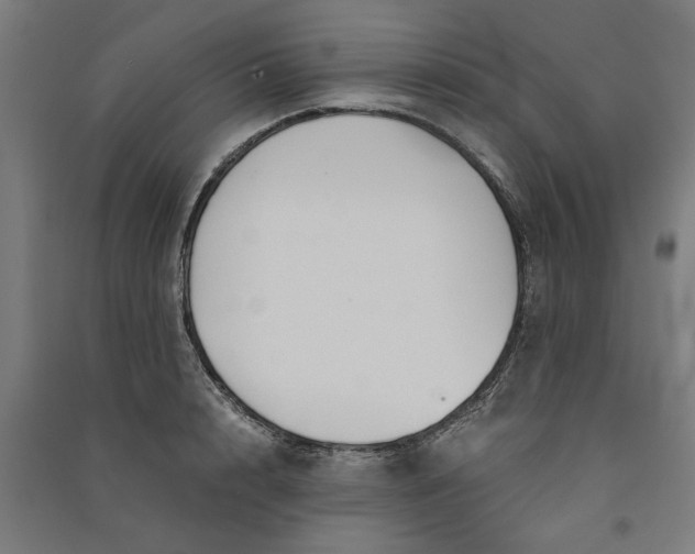 X0000091060848200708201343