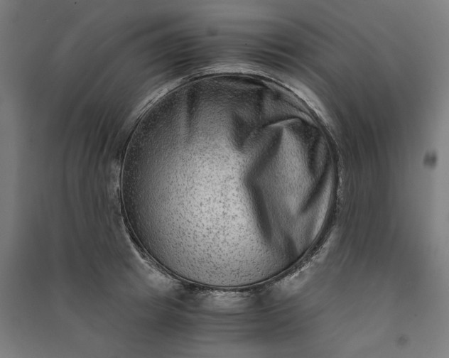 X0000091060849200708201343