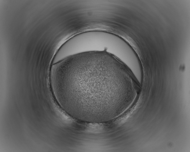 X0000091060850200708201344