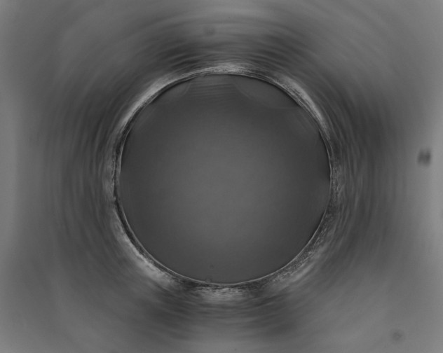 X0000091060851200708201344