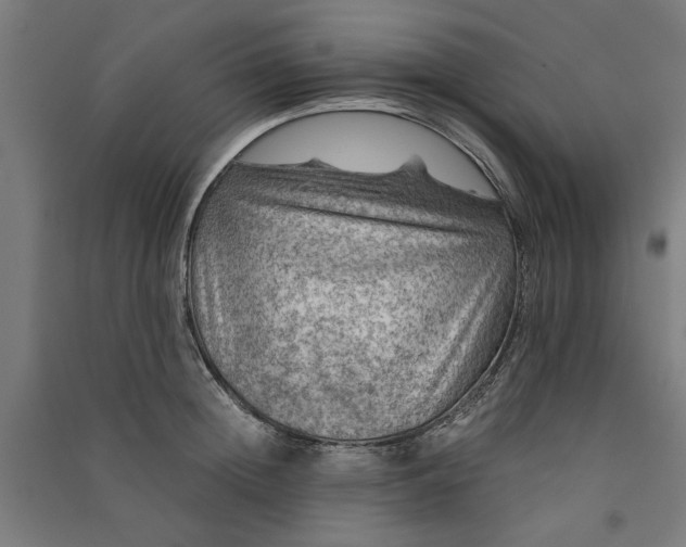 X0000091060852200708201344