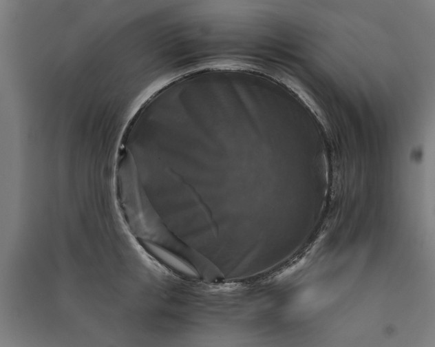 X0000091060853200708201344