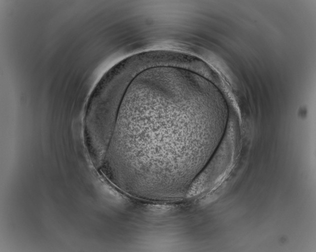 X0000091060854200708201344