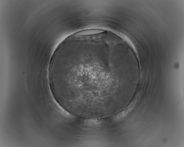 X0000091060855200708201344