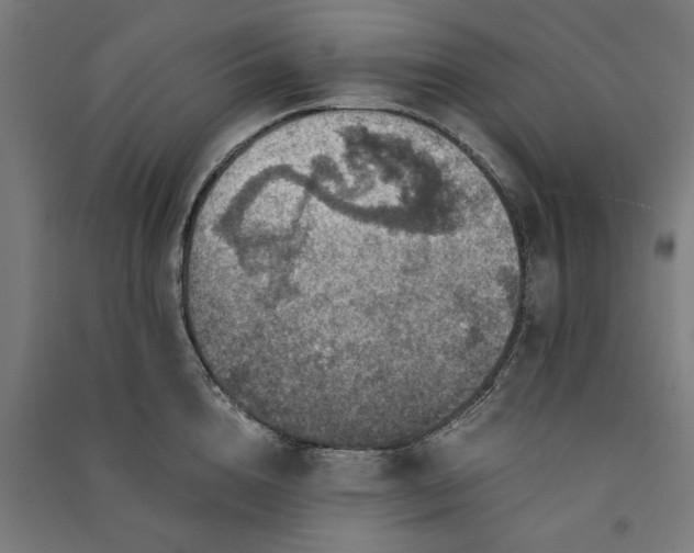 X0000091060856200708201344