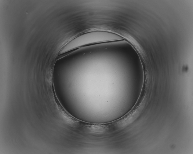 X0000091060857200708201344
