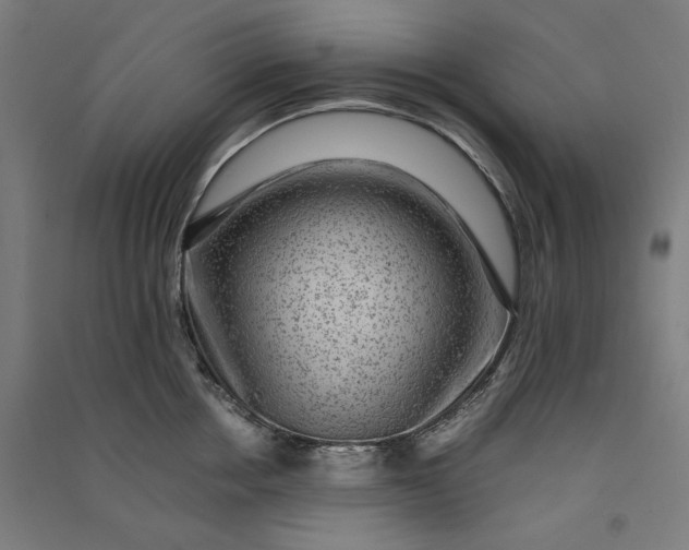 X0000091060858200708201344
