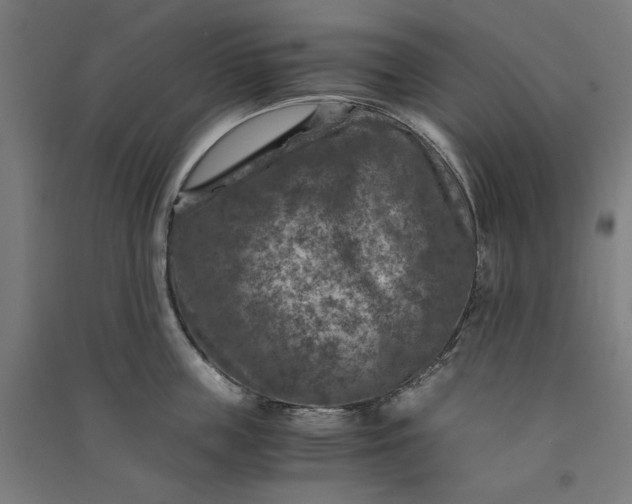 X0000091060859200708201344