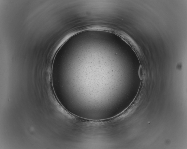 X0000091060860200708201344