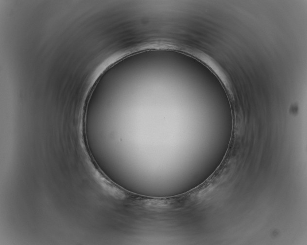 X0000091060861200708201344