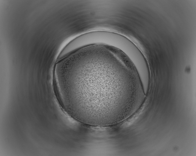 X0000091060862200708201344