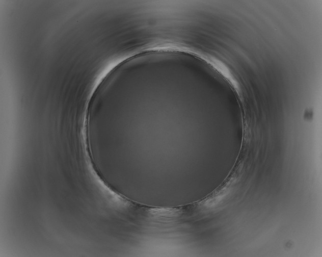X0000091060863200708201344