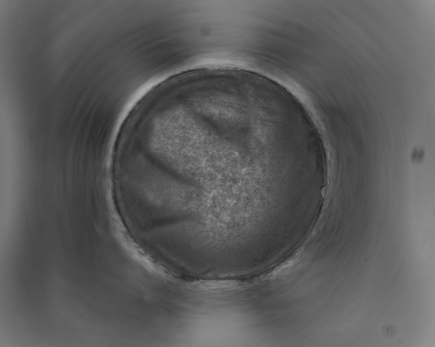 X0000091060864200708201344