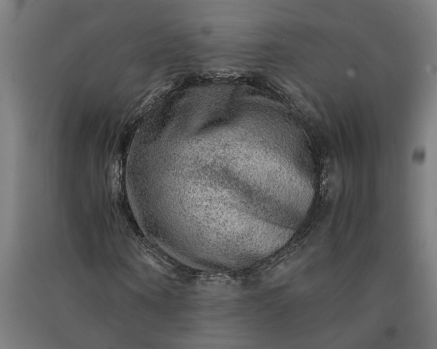 X0000091060866200708201343