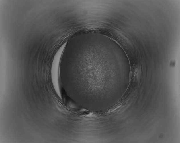X0000091060868200708201343