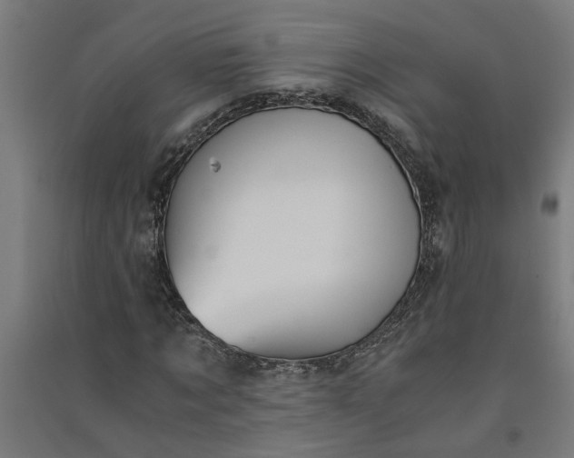 X0000091060869200708201343